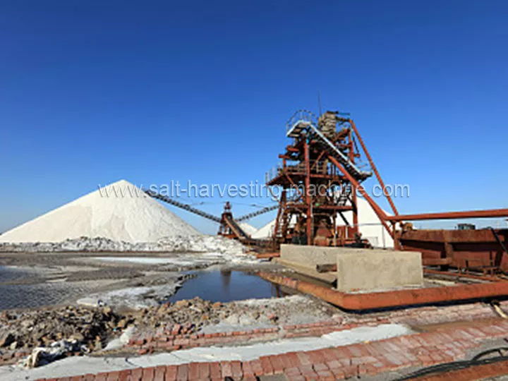 salt harvesting